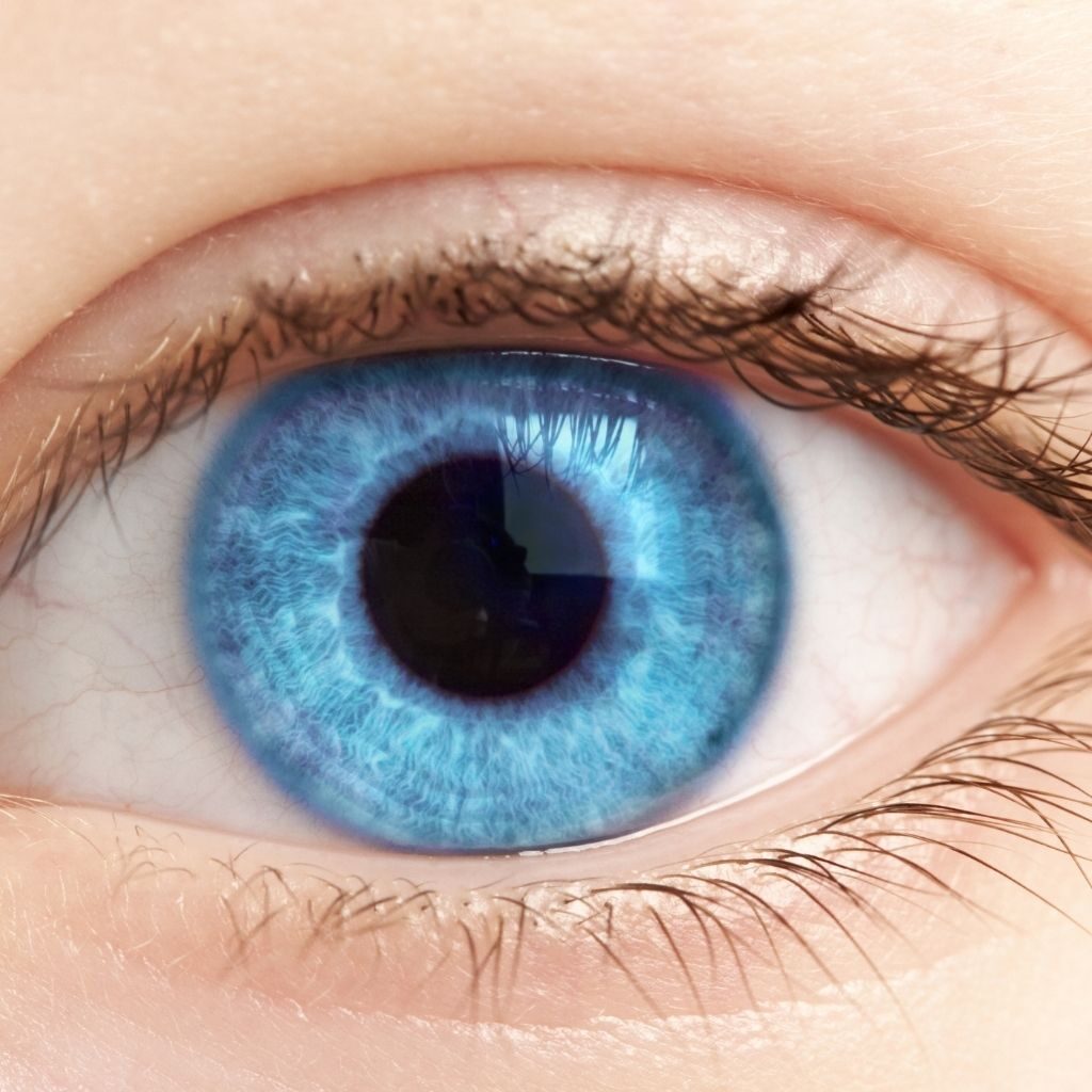 Auge mit blauer Iris Seminar Dieburg Augenschule