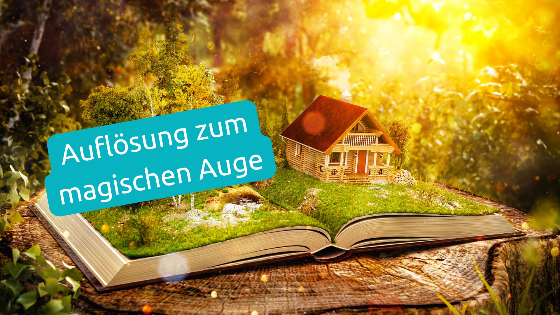 magisches Buch, das aufgeschlagen ist und dreidimensional ein Garten und ein Haus sich hervorhebt