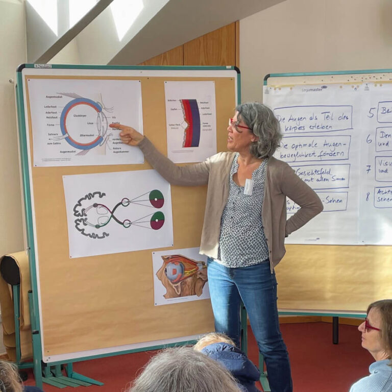 Sylvia erklärt vor einer Pinwwand den Augenaufbau